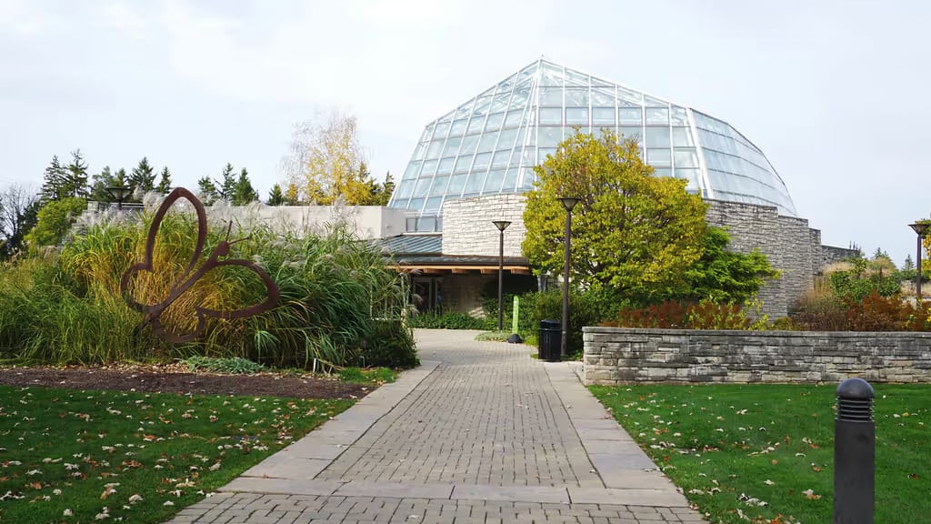 Conservatório de Borboletas em Niagara Falls reabre após período de manutenção
