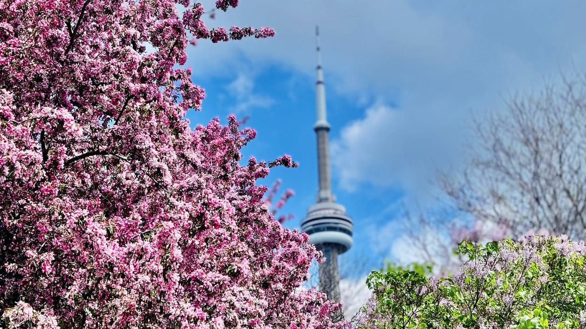Previsão indica primavera com temperaturas abaixo da média
