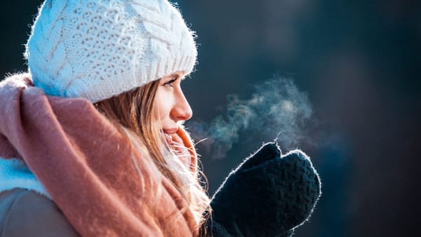 O que esperar do inverno em Toronto segundo o Farmer’s Almanac