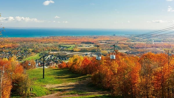Passeio de gôndola ao ar livre revela cores do outono em Blue Mountain