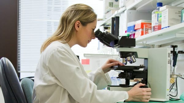 Canadá quer trazer mil cientistas e profissionais qualificados para reforçar pesquisa e inovação