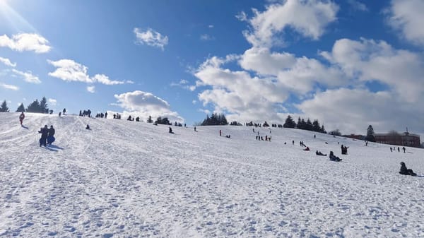 Colinas para descer de tobogã garantem diversão na neve