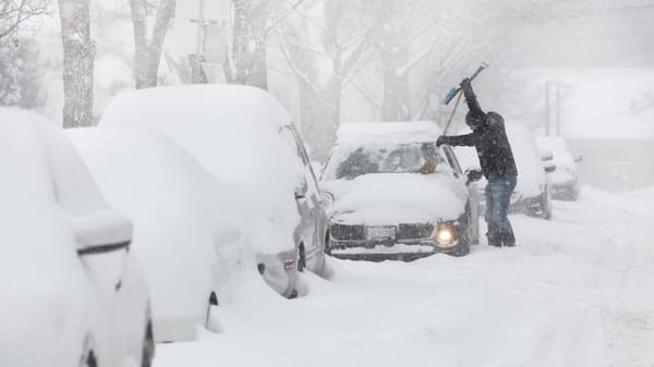 Polícia alerta para multas ao dirigir sem remover neve do carro