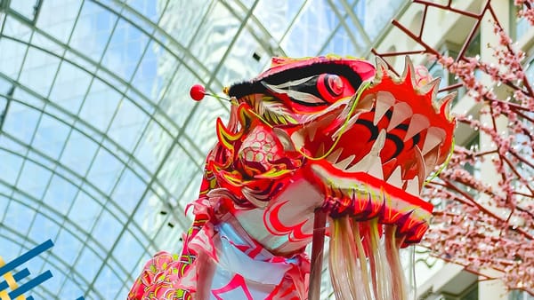 Ano Novo Lunar ganha celebrações abertas ao público