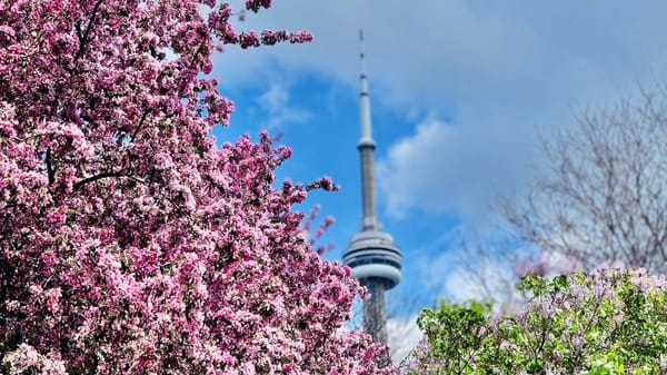 Previsão indica primavera com temperaturas abaixo da média