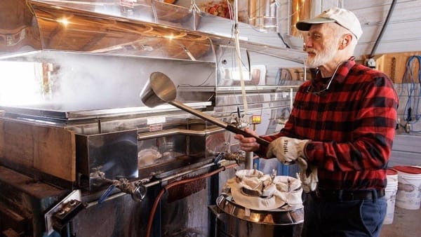 Temporada do maple syrup movimenta festivais a menos de uma hora de Toronto